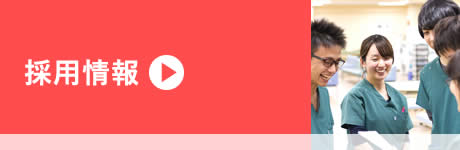 採用情報