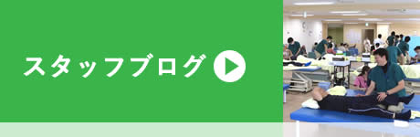 スタッフブログ
